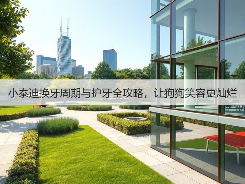 小泰迪换牙周期与护牙全攻略，让狗狗笑容更灿烂