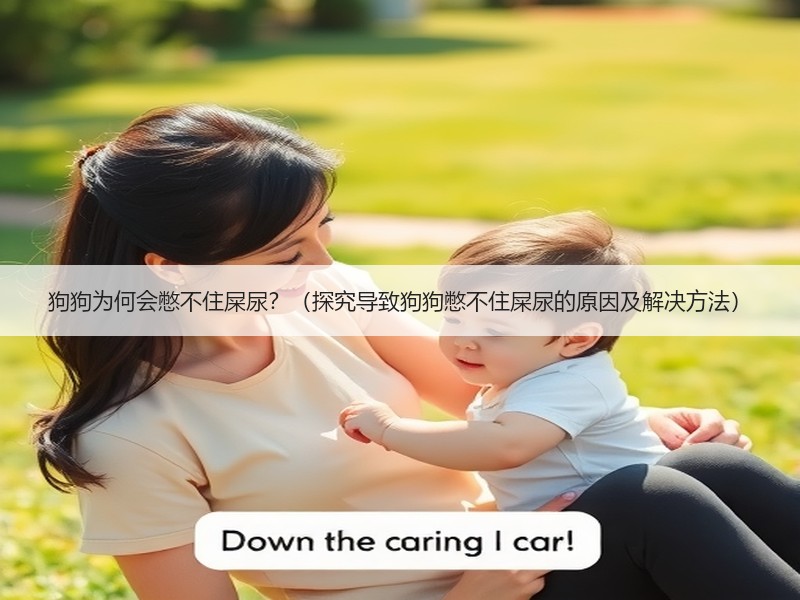 狗狗为何会憋不住屎尿？（探究导致狗狗憋不住屎尿的原因及解决方法）