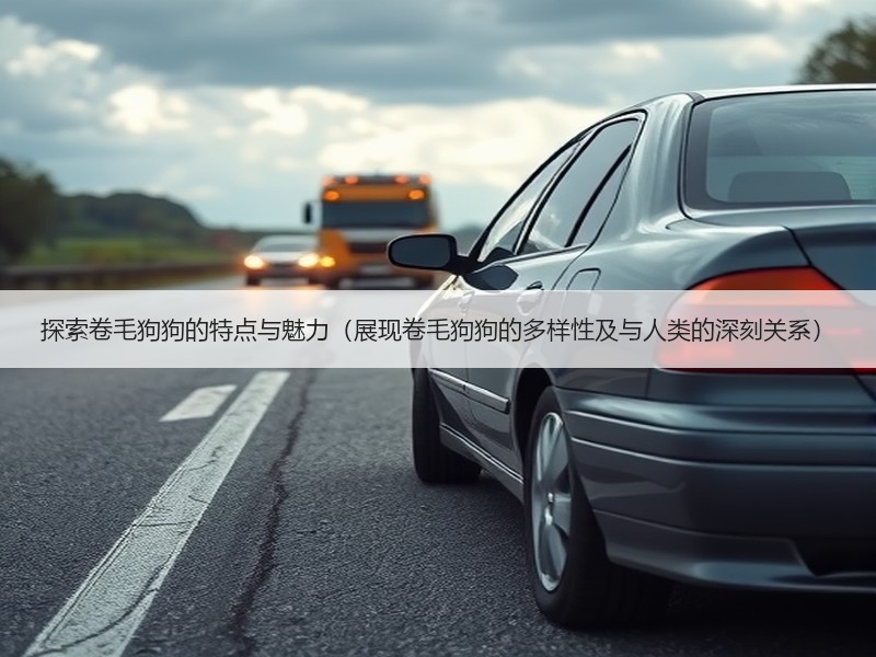 探索卷毛狗狗的特点与魅力（展现卷毛狗狗的多样性及与人类的深刻关系）