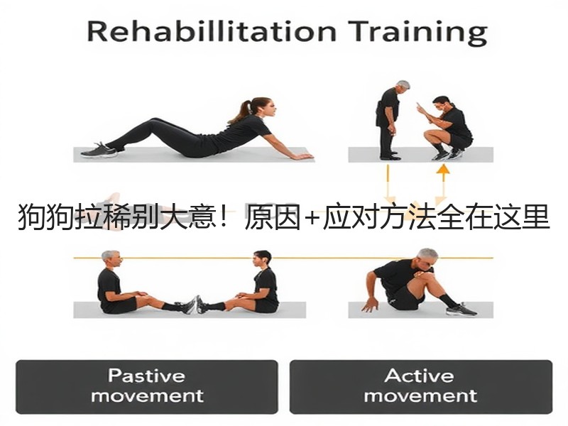 狗狗拉稀别大意！原因+应对方法全在这里
