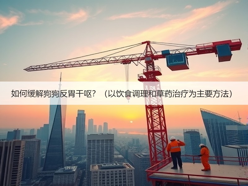 如何缓解狗狗反胃干呕？（以饮食调理和草药治疗为主要方法）