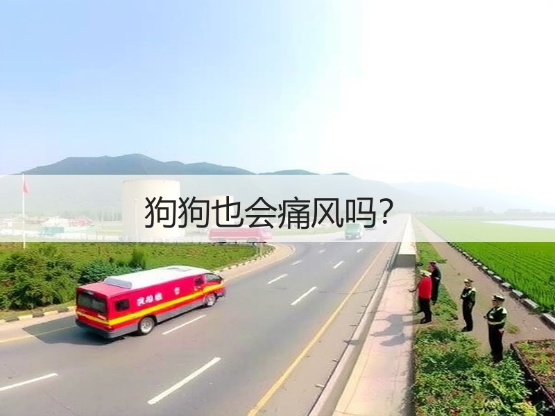 狗狗也会痛风吗？
