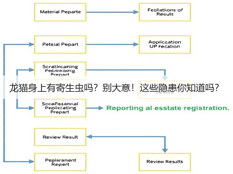 龙猫身上有寄生虫吗？别大意！这些隐患你知道吗？