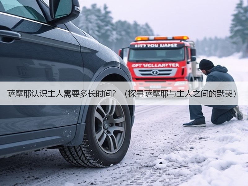 萨摩耶认识主人需要多长时间？（探寻萨摩耶与主人之间的默契）