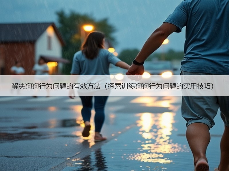 解决狗狗行为问题的有效方法（探索训练狗狗行为问题的实用技巧）