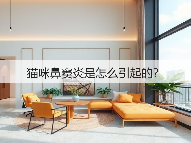 猫咪鼻窦炎是怎么引起的？