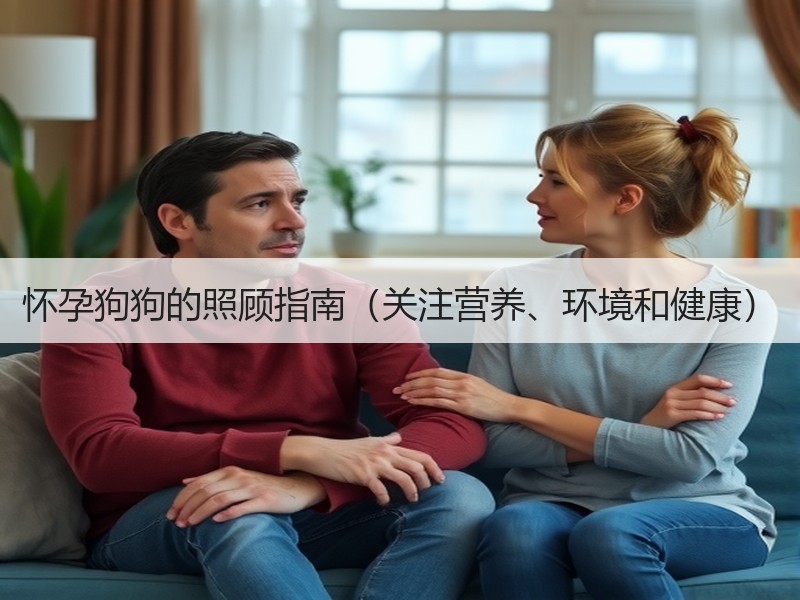 怀孕狗狗的照顾指南（关注营养、环境和健康）