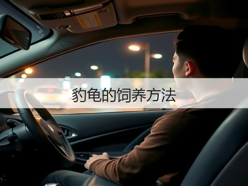 豹龟的饲养方法