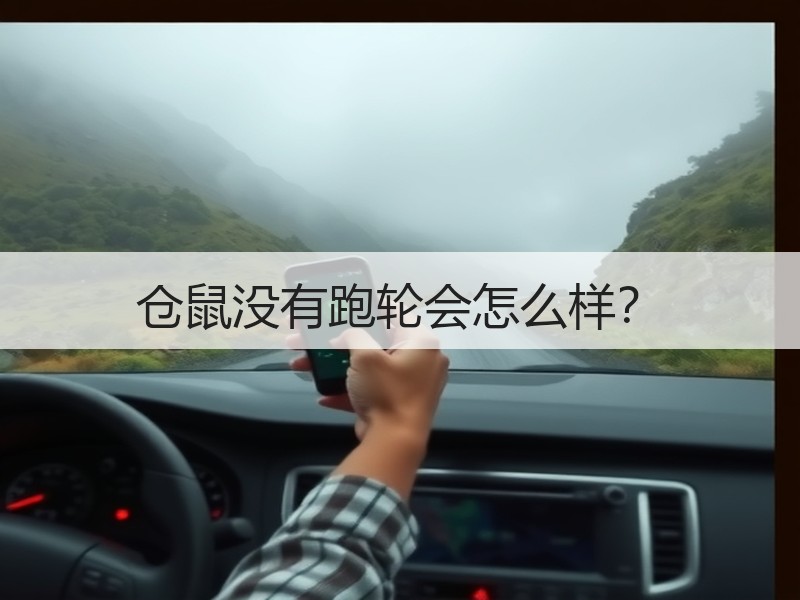 仓鼠没有跑轮会怎么样？