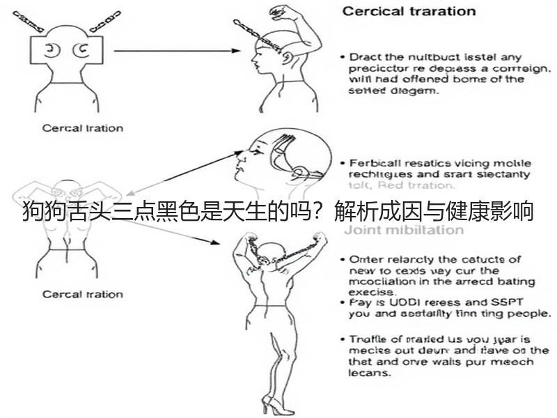 狗狗舌头三点黑色是天生的吗？解析成因与健康影响