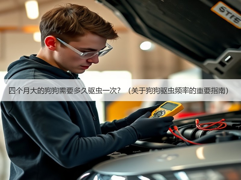 四个月大的狗狗需要多久驱虫一次？（关于狗狗驱虫频率的重要指南）