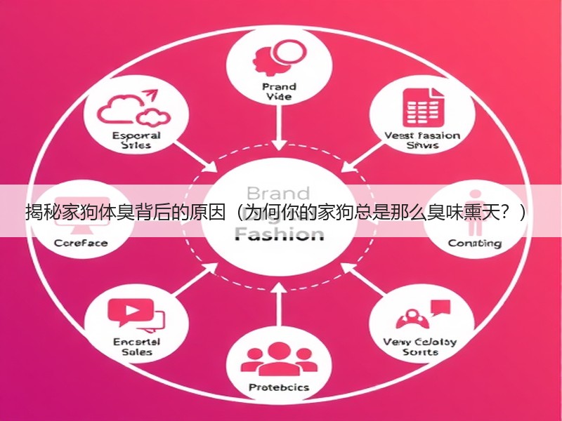 揭秘家狗体臭背后的原因（为何你的家狗总是那么臭味熏天？）