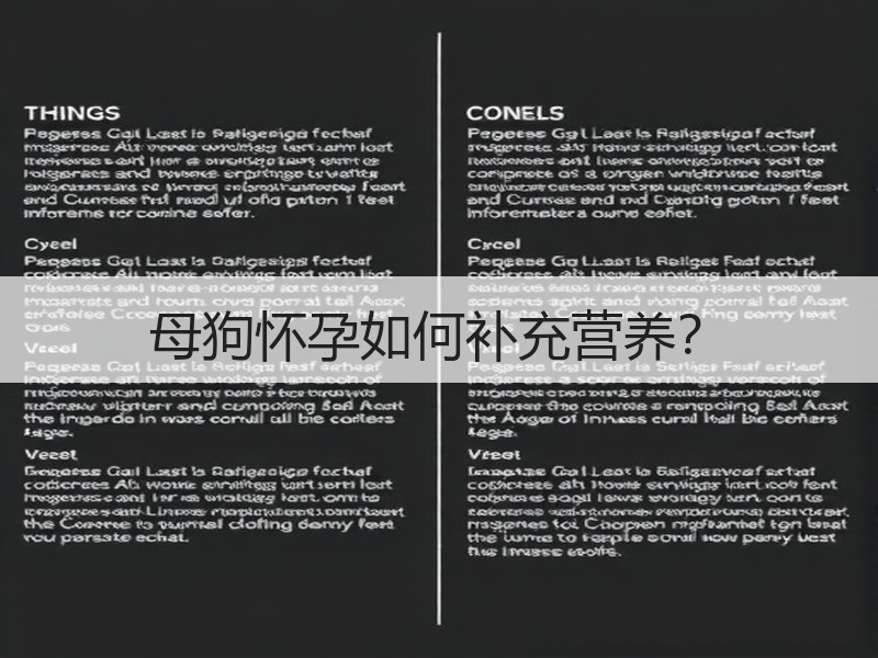 母狗怀孕如何补充营养？