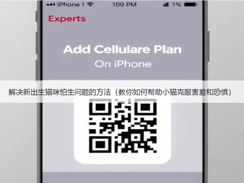 解决新出生猫咪怕生问题的方法（教你如何帮助小猫克服害羞和恐惧）