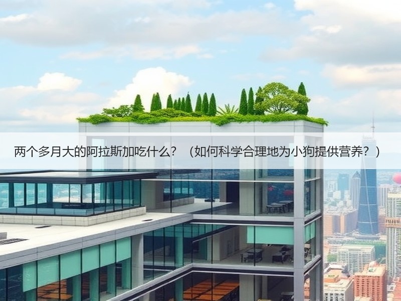 两个多月大的阿拉斯加吃什么？（如何科学合理地为小狗提供营养？）