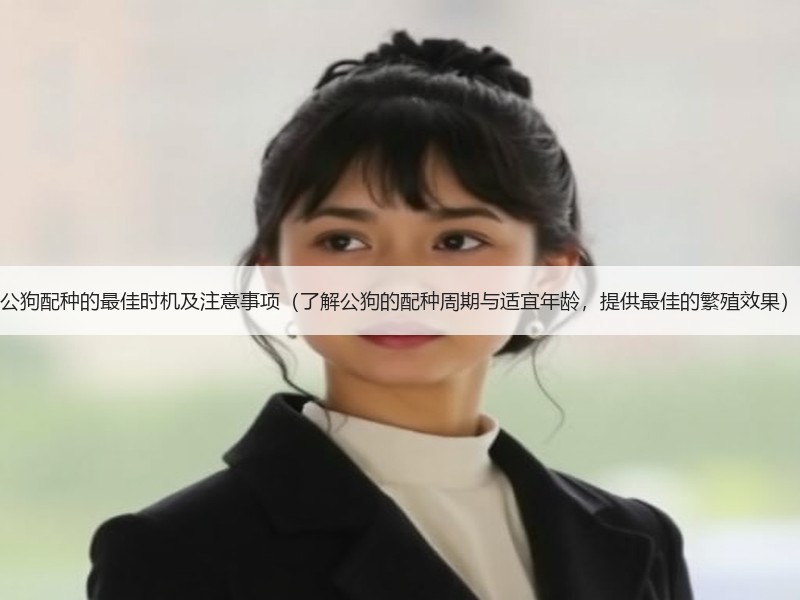 公狗配种的最佳时机及注意事项（了解公狗的配种周期与适宜年龄，提供最佳的繁殖效果）