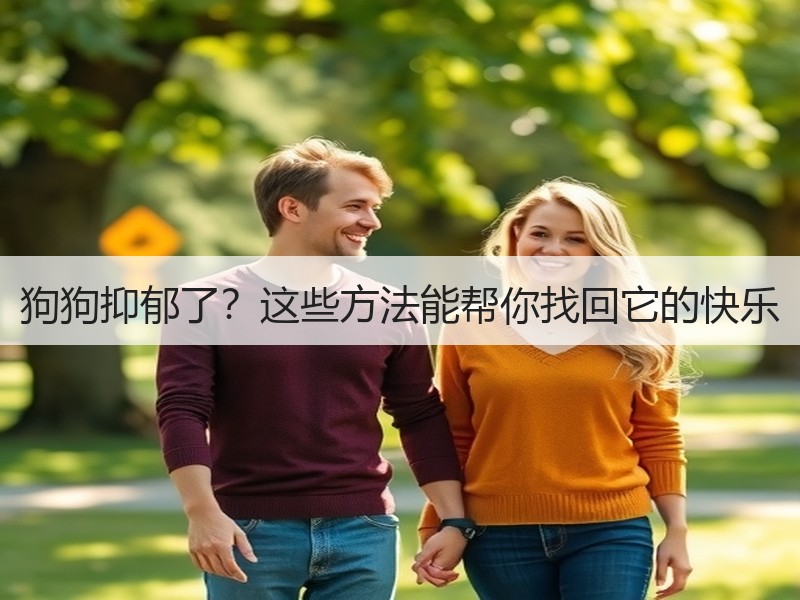 狗狗抑郁了？这些方法能帮你找回它的快乐