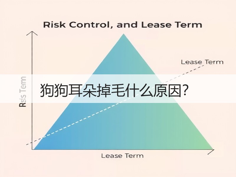 狗狗耳朵掉毛什么原因？