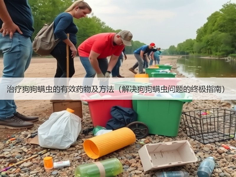 治疗狗狗螨虫的有效药物及方法（解决狗狗螨虫问题的终极指南）