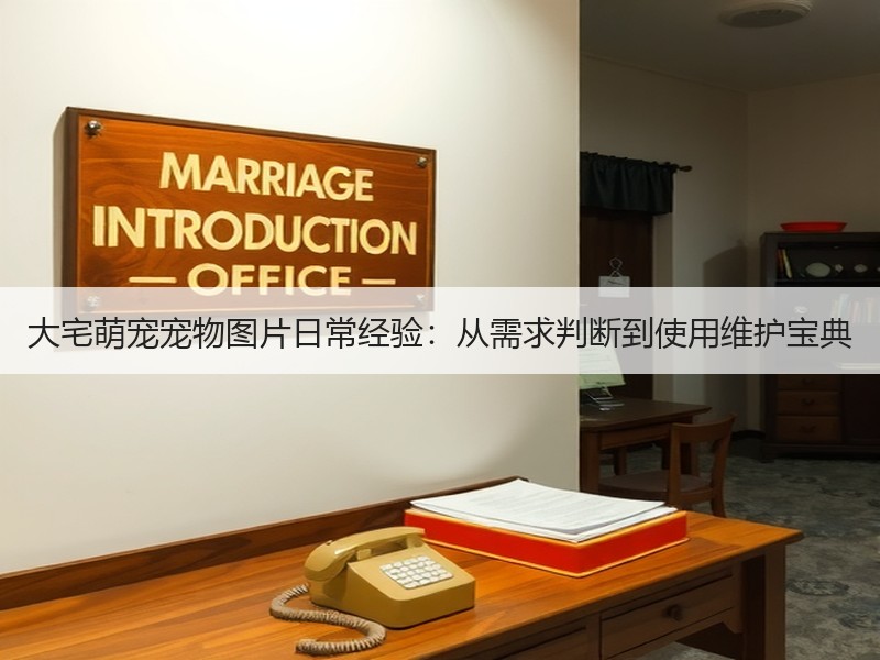 大宅萌宠宠物图片日常经验：从需求判断到使用维护宝典