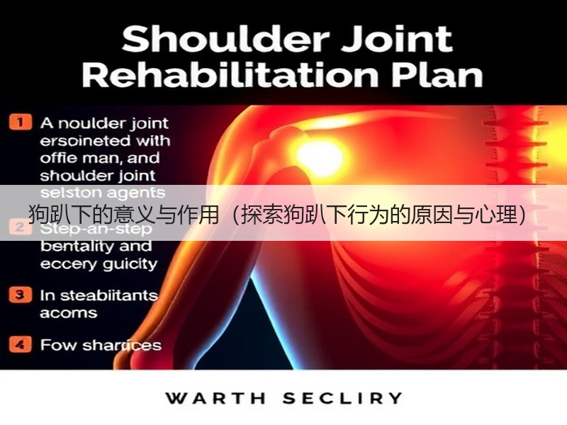 狗趴下的意义与作用（探索狗趴下行为的原因与心理）
