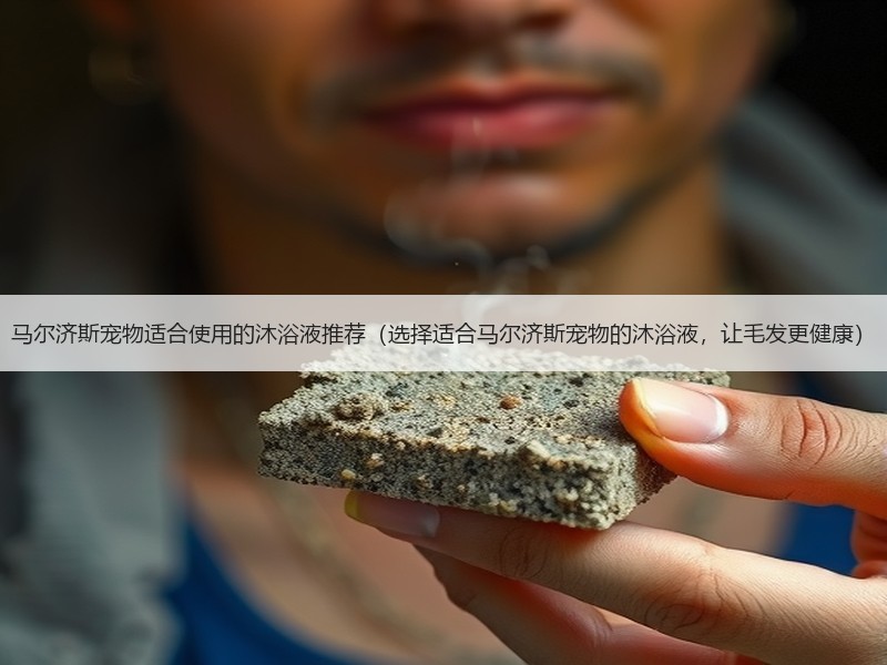 马尔济斯宠物适合使用的沐浴液推荐（选择适合马尔济斯宠物的沐浴液，让毛发更健康）