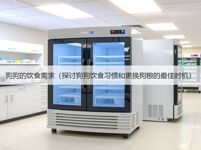 狗狗的饮食需求（探讨狗狗饮食习惯和更换狗粮的最佳时机）