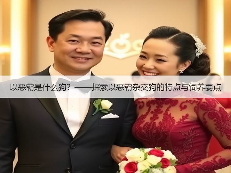 以恶霸是什么狗？——探索以恶霸杂交狗的特点与饲养要点