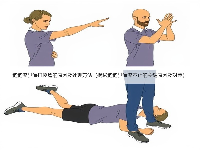 狗狗流鼻涕打喷嚏的原因及处理方法（揭秘狗狗鼻涕流不止的关键原因及对策）