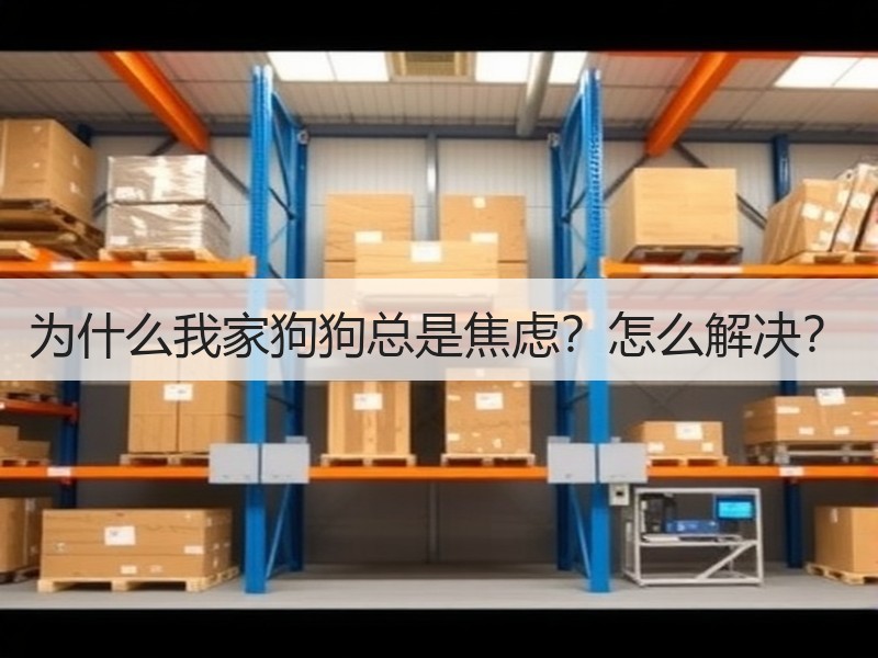 为什么我家狗狗总是焦虑？怎么解决？