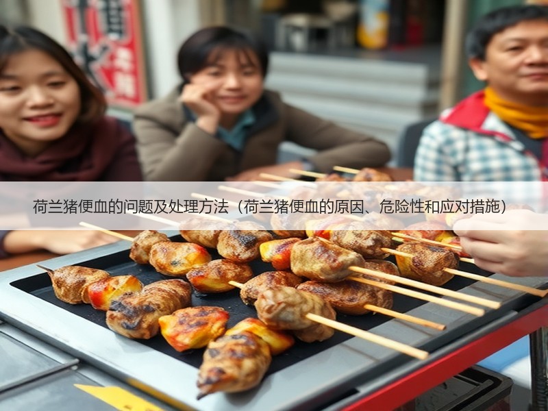荷兰猪便血的问题及处理方法（荷兰猪便血的原因、危险性和应对措施）