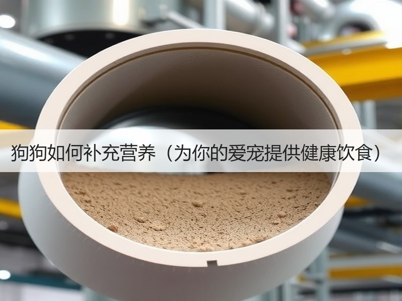 狗狗如何补充营养（为你的爱宠提供健康饮食）