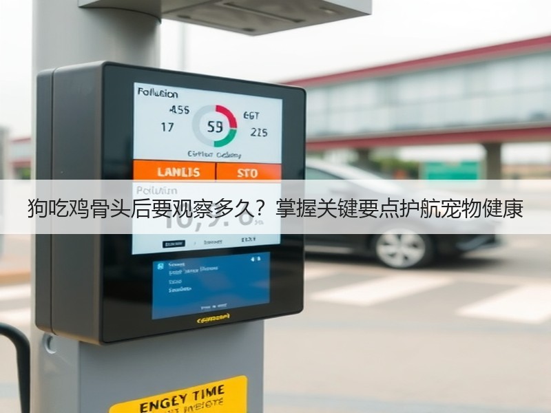 狗吃鸡骨头后要观察多久？掌握关键要点护航宠物健康