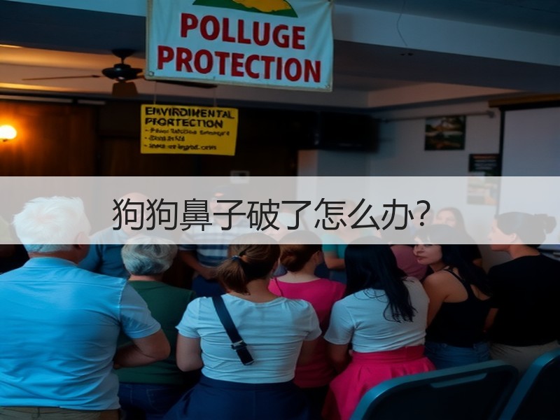 狗狗鼻子破了怎么办？