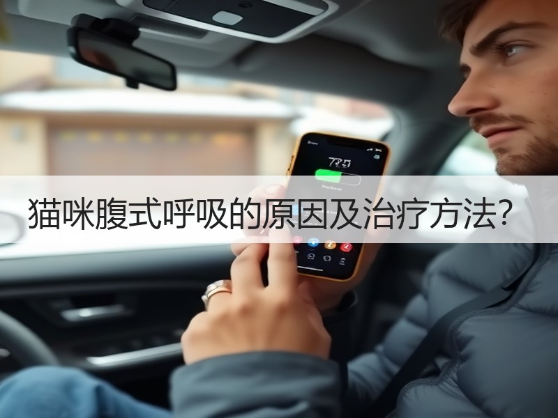 猫咪腹式呼吸的原因及治疗方法？