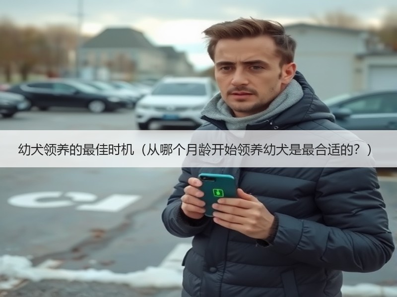 幼犬领养的最佳时机（从哪个月龄开始领养幼犬是最合适的？）
