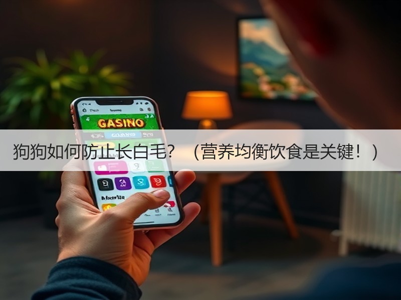 狗狗如何防止长白毛？（营养均衡饮食是关键！）