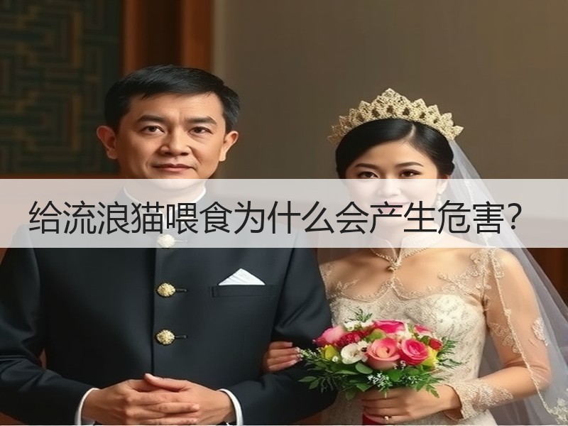 给流浪猫喂食为什么会产生危害？