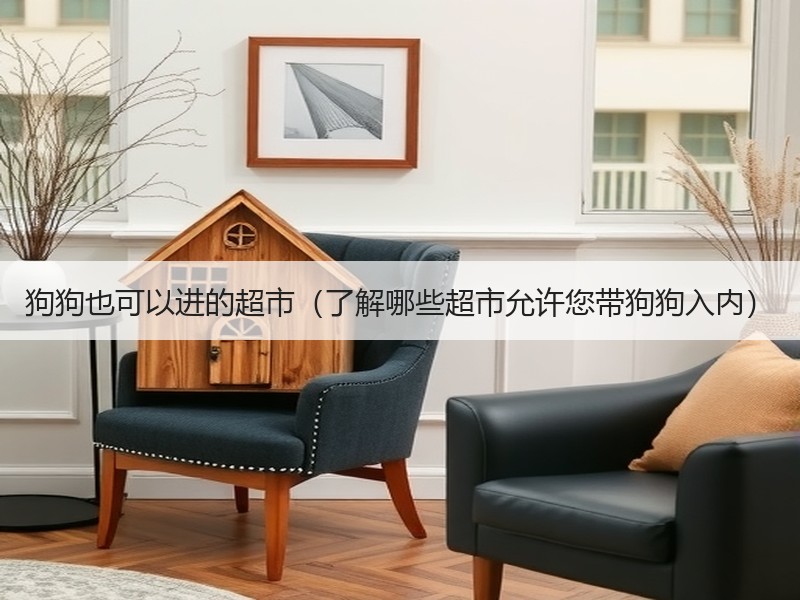 狗狗也可以进的超市（了解哪些超市允许您带狗狗入内）