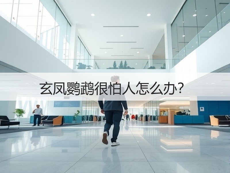 玄凤鹦鹉很怕人怎么办？