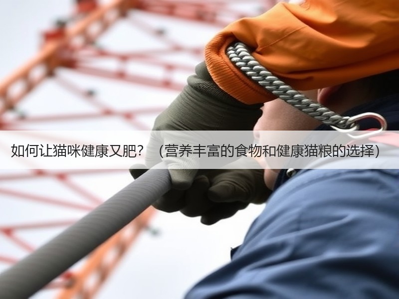 如何让猫咪健康又肥？（营养丰富的食物和健康猫粮的选择）