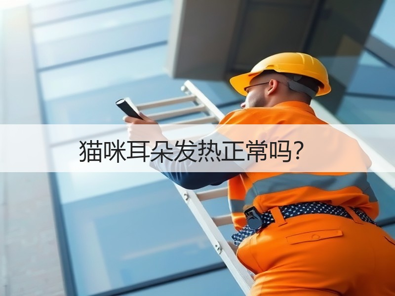 猫咪耳朵发热正常吗？