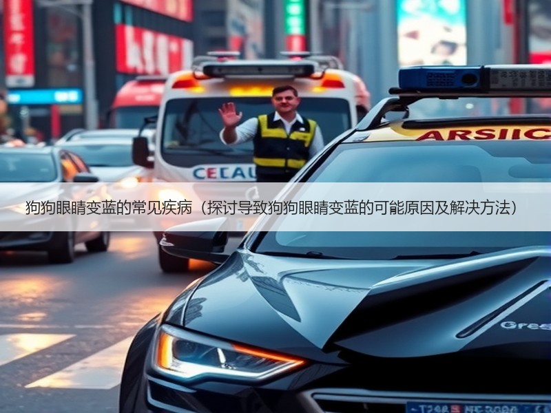 狗狗眼睛变蓝的常见疾病（探讨导致狗狗眼睛变蓝的可能原因及解决方法）