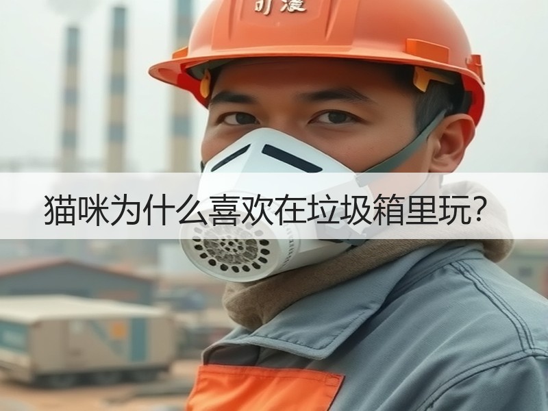 猫咪为什么喜欢在垃圾箱里玩？