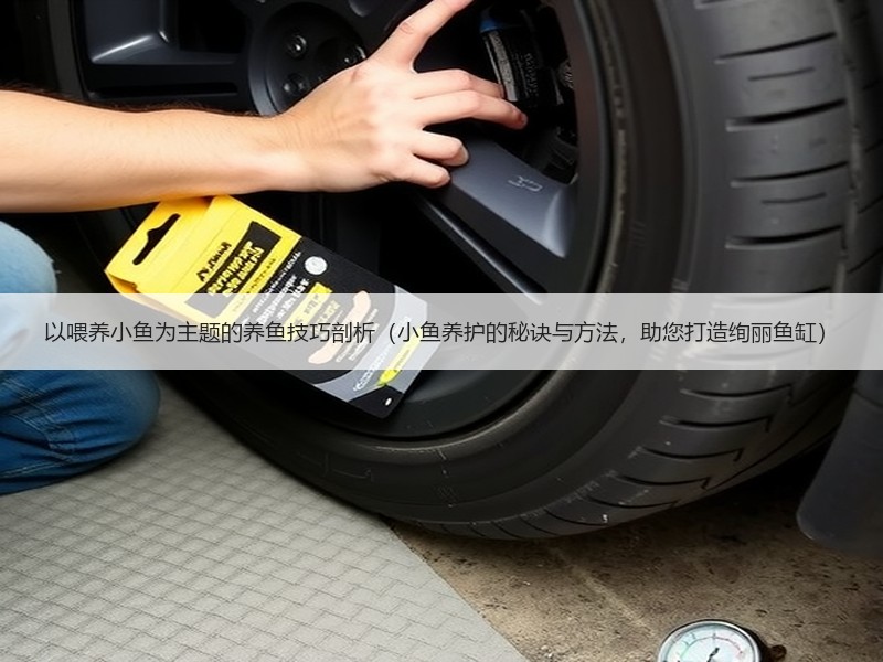 以喂养小鱼为主题的养鱼技巧剖析（小鱼养护的秘诀与方法，助您打造绚丽鱼缸）