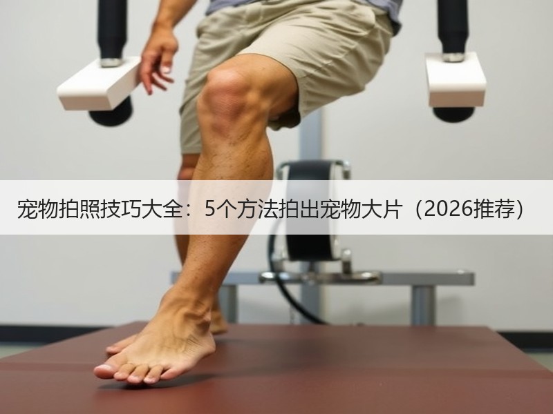 宠物拍照技巧大全：5个方法拍出宠物大片（2026推荐）
