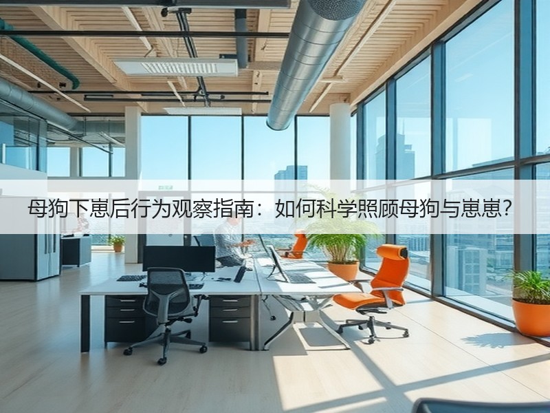 母狗下崽后行为观察指南：如何科学照顾母狗与崽崽？