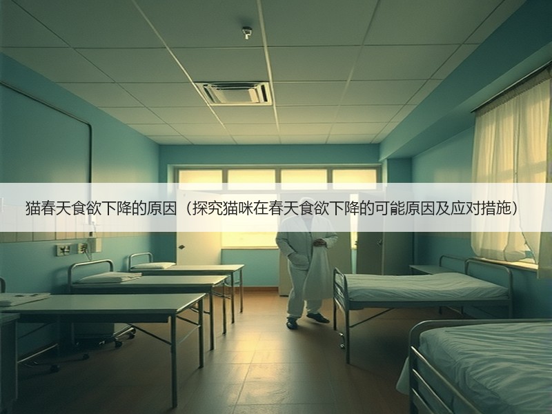 猫春天食欲下降的原因（探究猫咪在春天食欲下降的可能原因及应对措施）