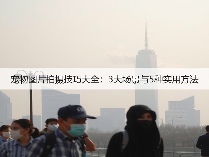 宠物图片拍摄技巧大全：3大场景与5种实用方法