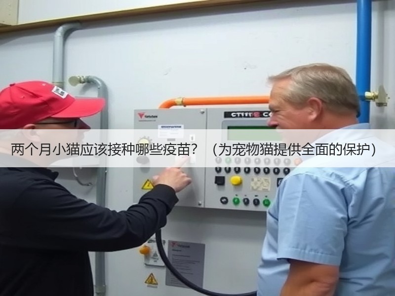 两个月小猫应该接种哪些疫苗？（为宠物猫提供全面的保护）